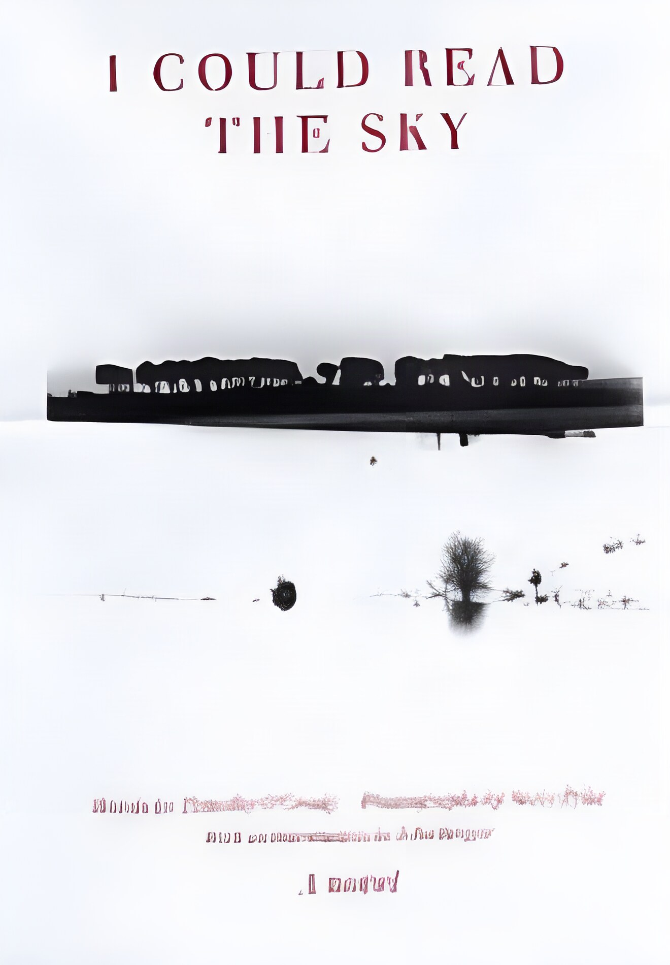 I Could Read the Sky: A Novel (SIGNED COPY)by: Timothy O'Grady / Steve Pyke (Photographer) 