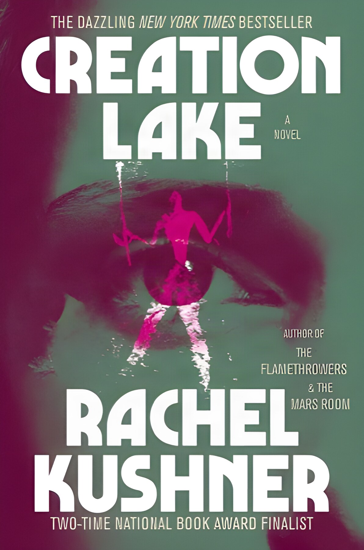 Creation Lake: A Novelby: Rachel Kushner