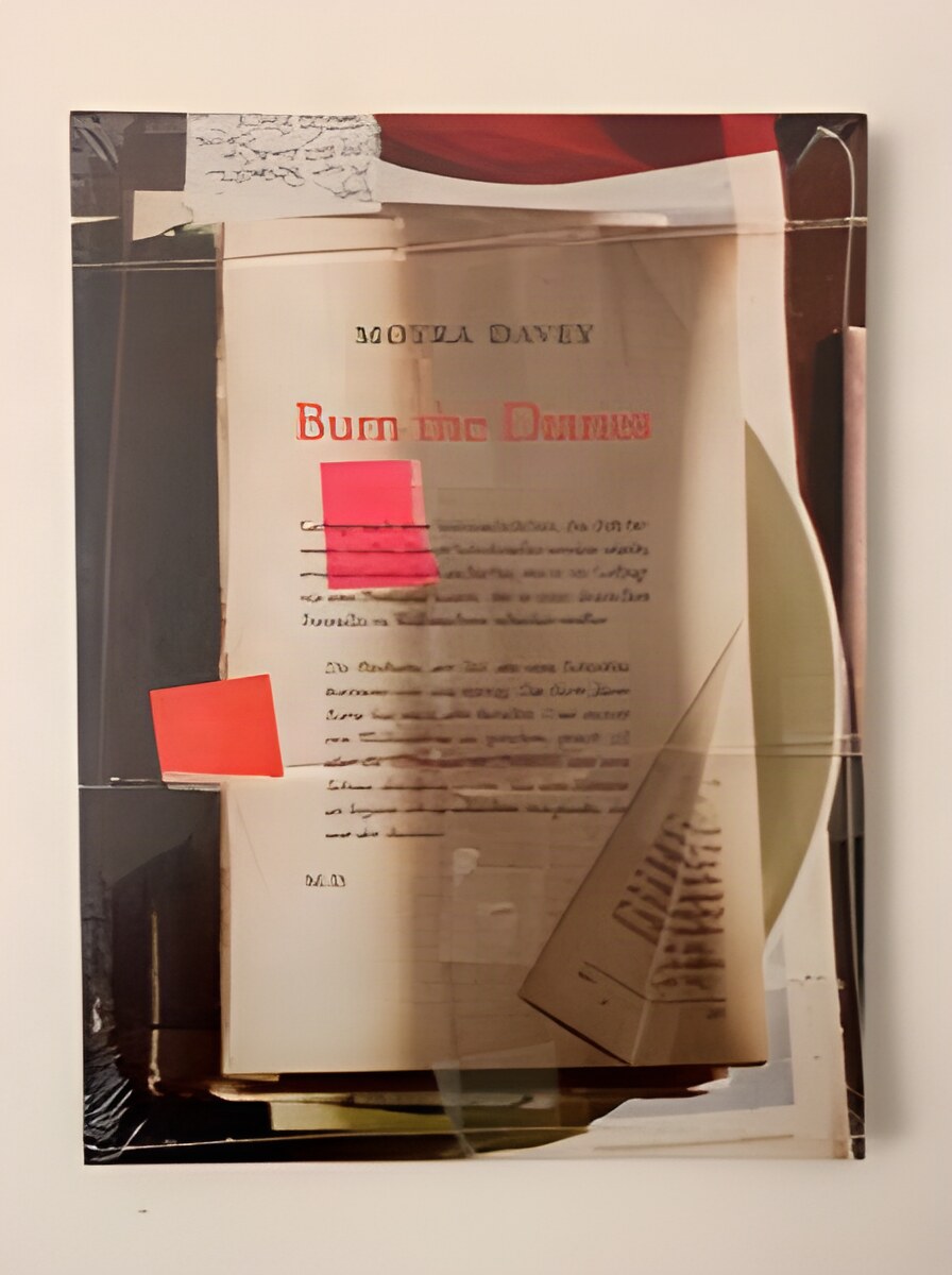 Burn the Diariesby: Davey, Moyra/Alison Strayer