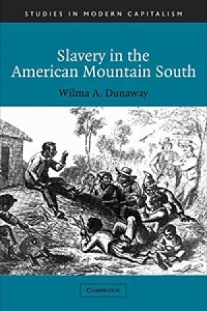 Slavery in the American Mountain South by: Wilma A. Dunaway 