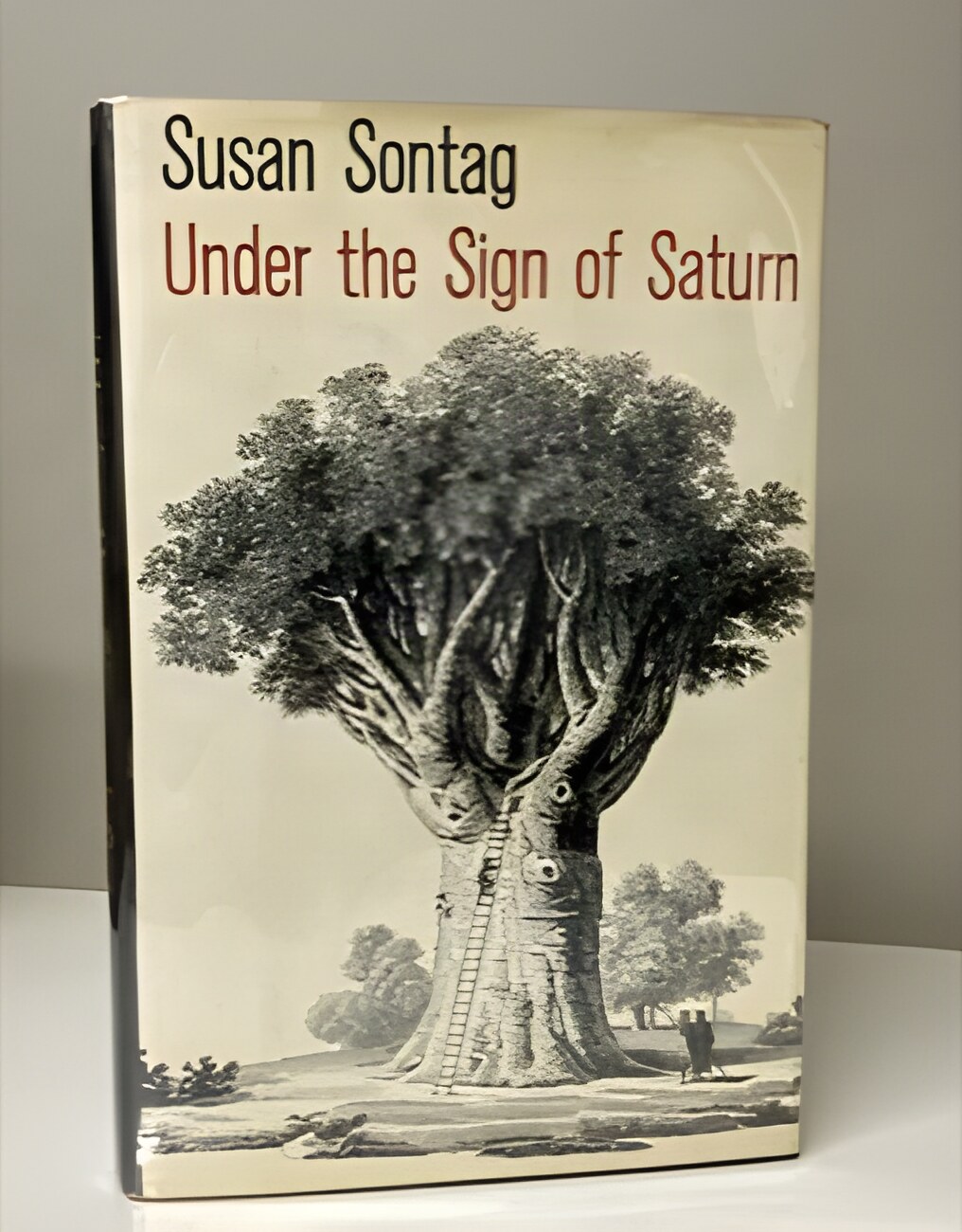 Under the Sign of Saturn by: Sontag, Susan 
