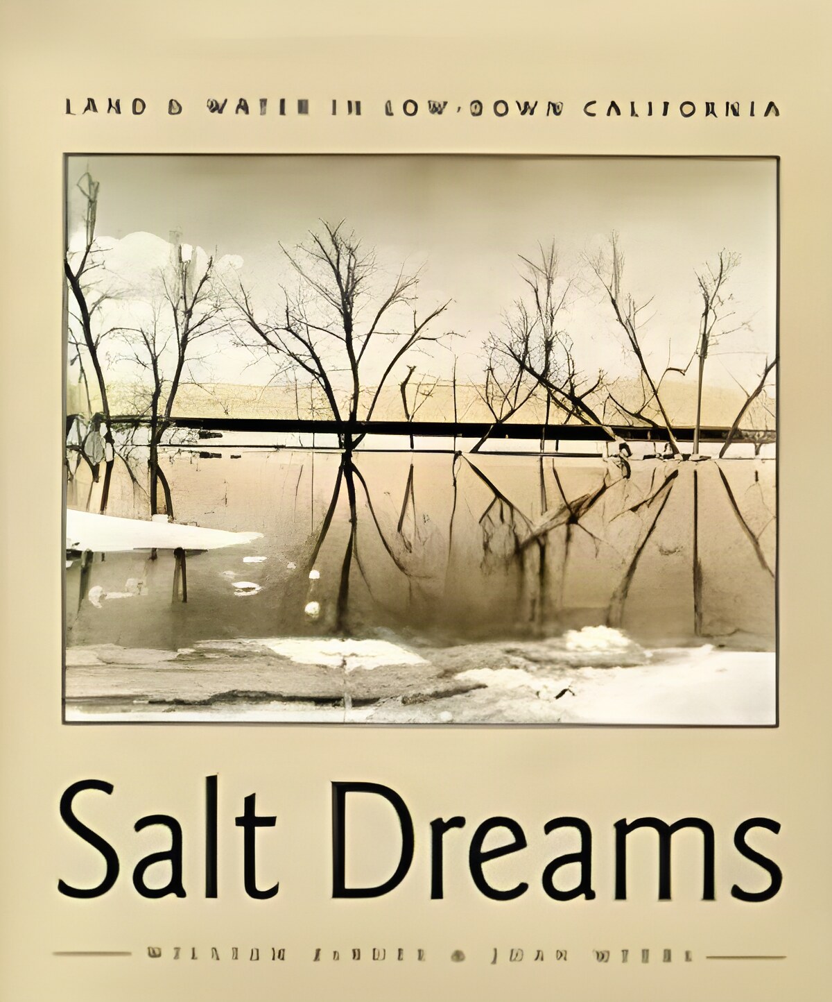 Salt Dreams: Land and Water in Low-Down California by: Debuys, William/ Myers, Joan (Photographer) 