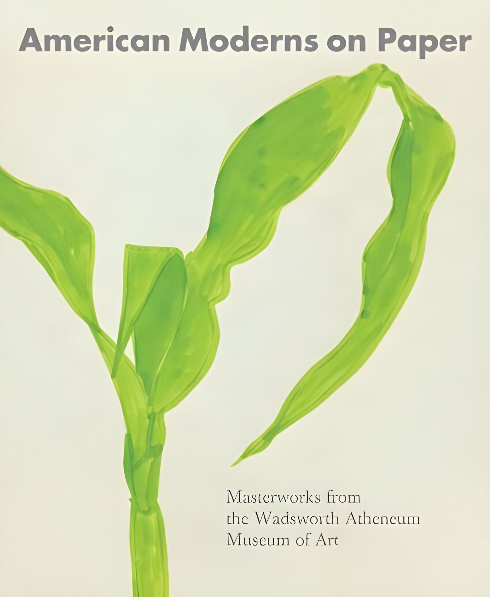 American Moderns on Paper: Masterworks from the Wadsworth Atheneum Museum of Art by: Kornhauser, Elizabeth Mankin (editor); Elizabeth Mankin Kornhauser (essay); Erin 