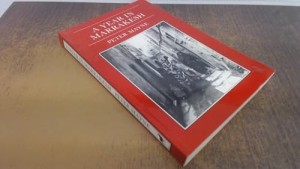 A Year in Marrakesh by: Mayne, Peter 