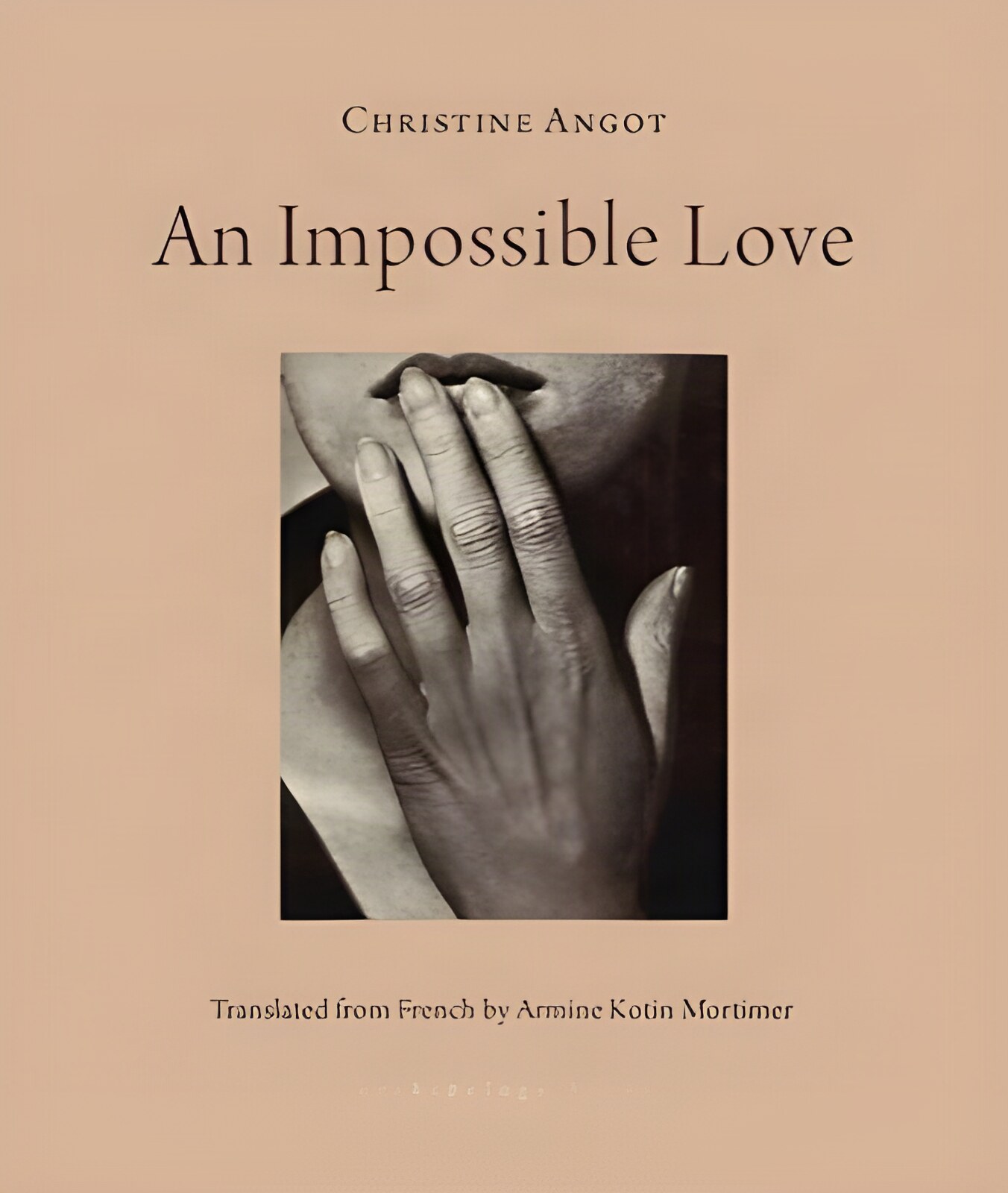 An Impossible Loveby: Christine Angot /Armine Kotin Mortimer (Translator)