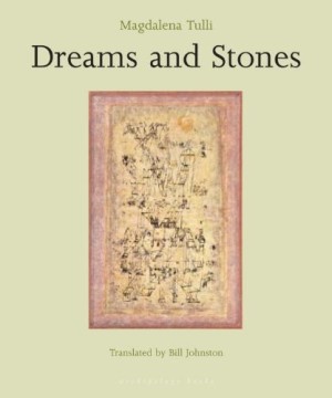 Dreams and Stonesby: Magdalena Tulli (Author), Bill Johnston (Translator)