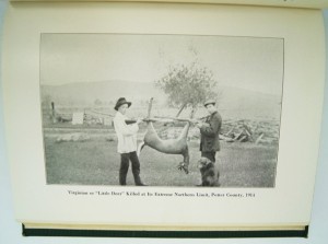 Pennsylvania Bison Hunt, A /  Pennsylvania Deer and their Horns ( 2 Volumes in One)by: Shoemaker, Henry W.