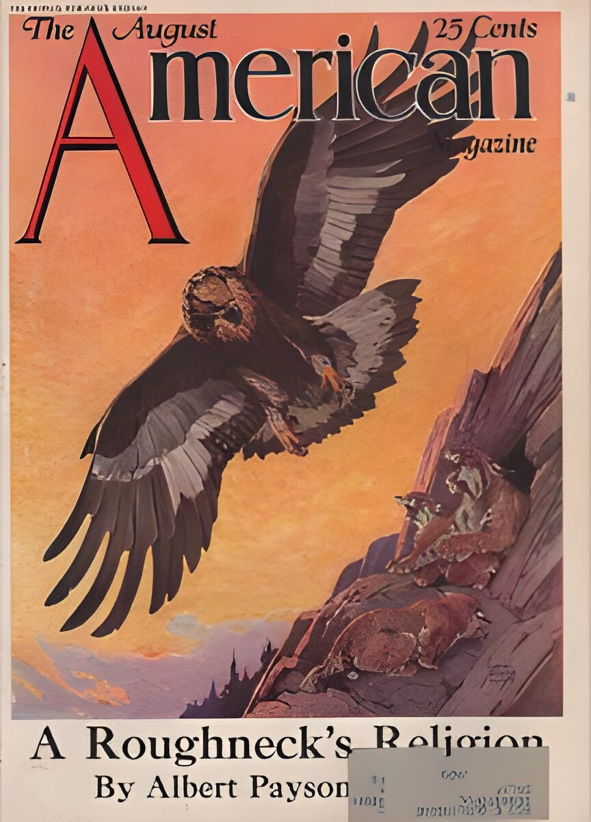 ORIG VINTAGE MAGAZINE COVER/ AMERICAN MAGAZINE AUGUST 1920S - Eagle in flight - Illus. Lynn Bogue Huntby: Hunt (Illust.), Lynn Bogue