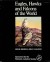 Eagles, Hawks and Falcons of the World - A Detailed Two-Volume Work on Diurnal Birds of Preyby: Brown, Leslie/Dean Amadon