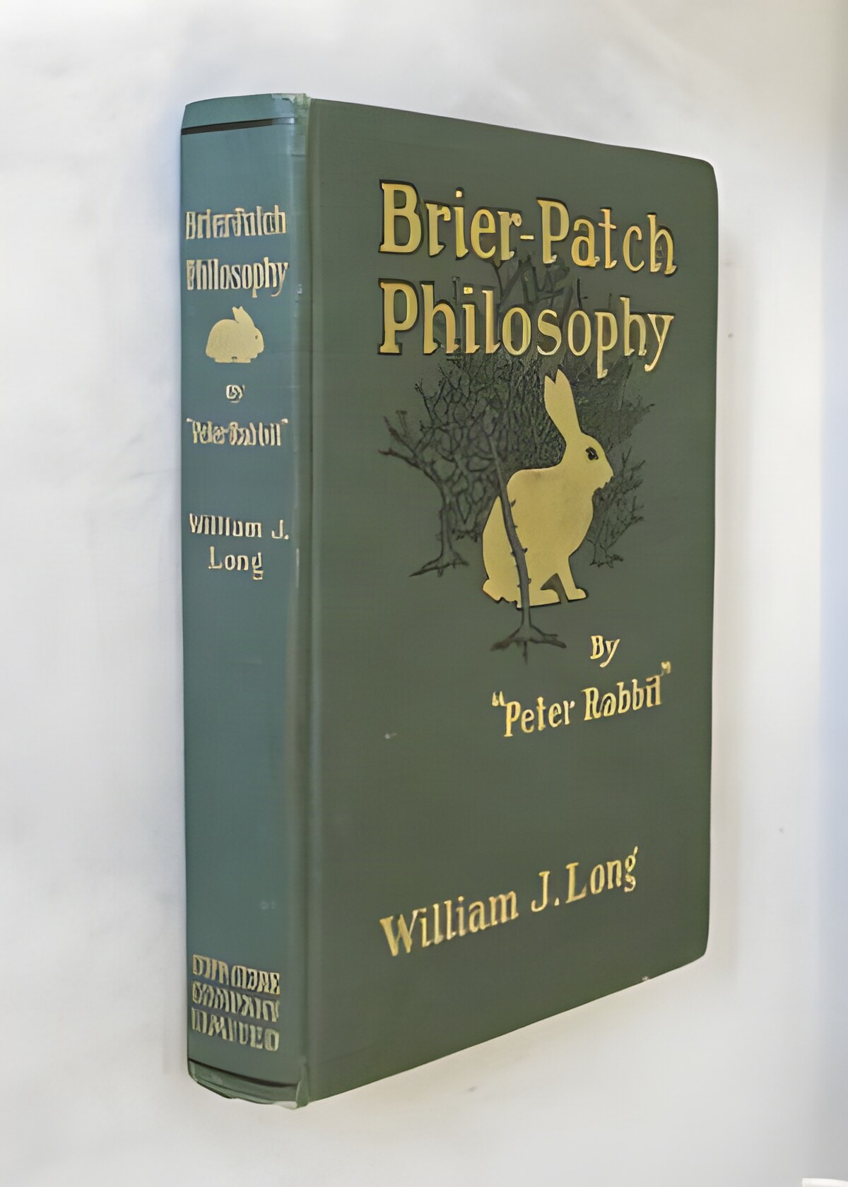 Brier-Patch Philosophy by "Peter Rabbit"by: Long, William J. 
