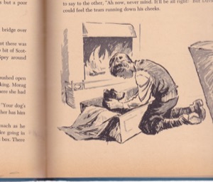 A Dog for Davie's Hillby: Clare Bice