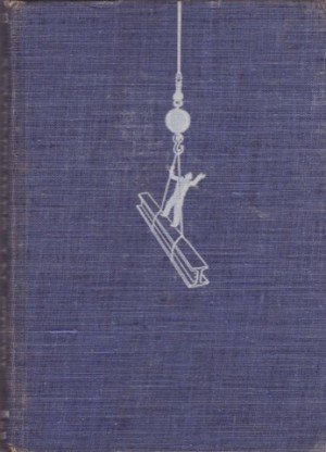 Adventures in Steelby: Davis/Frank Dobias, Lavinia R. 