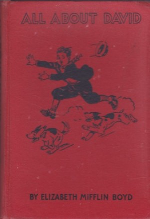 All About Davidby: Elizabeth Mifflin Boyd
