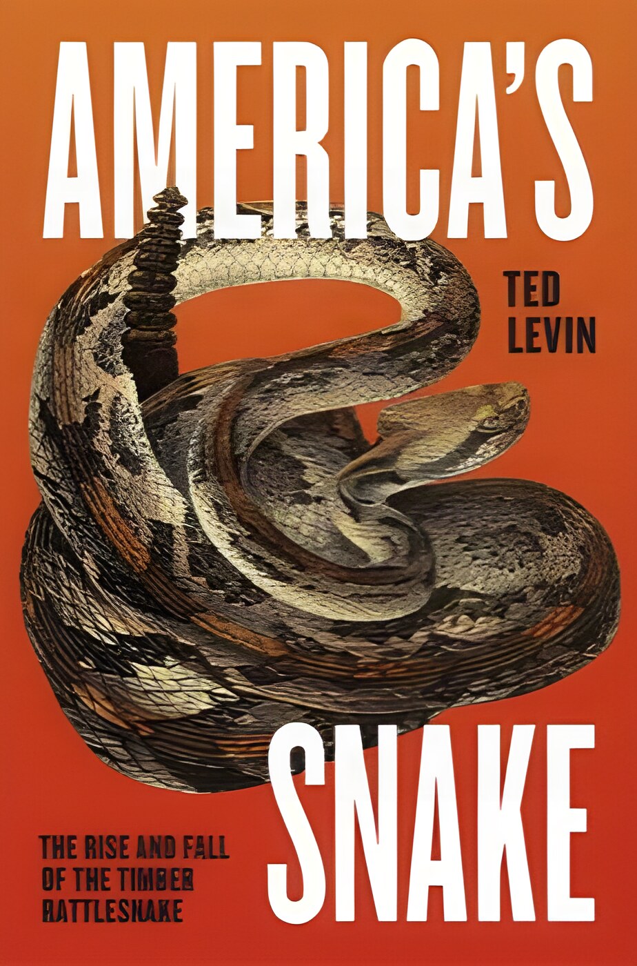 America's Snake: The Rise and Fall of the Timber Rattlesnakeby: Ted Levin 