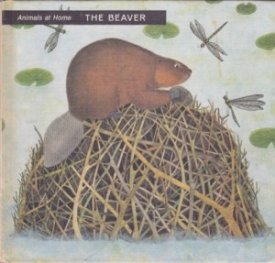 Animals at Home: The Beaverby: Roels, Iliane (Idea & Illustrated),translated by Marion Koenig