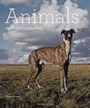 Animals in Photographsby: Kovacs, Arpad