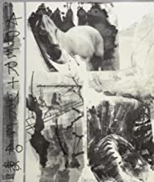 Aperture 129: 40th Anniversary Issue (Cover: Rauschenberg) (Aperture Magazine)by: Aperture Foundation Inc. Staff