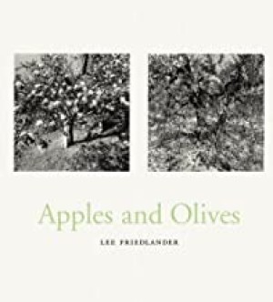 Apples & Olivesby: Lee Friedlander