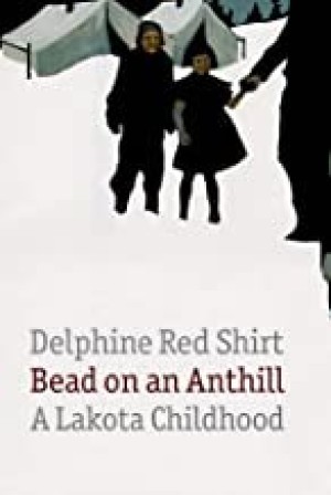 Bead on an Anthill: A Lakota Childhoodby: Delphine Red Shirt 