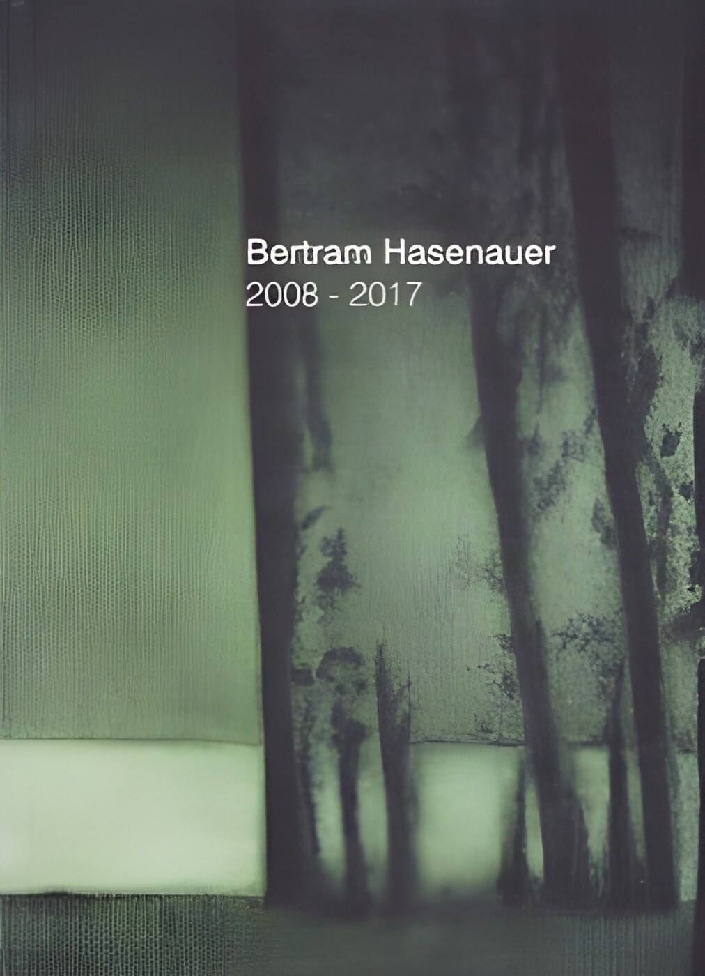 Bertram Hasenauer: 2008-2017by: Bertram Hasenauer / Toni Stooss