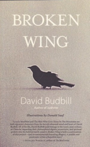 Broken Wing by: David Budbill 
