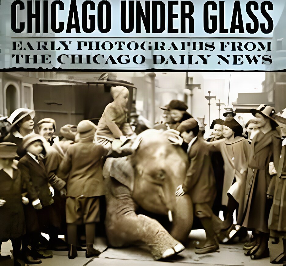 Chicago under Glass: Early Photographs from the Chicago Daily Newsby: Mark Jacob , Richard Cahan, et al.