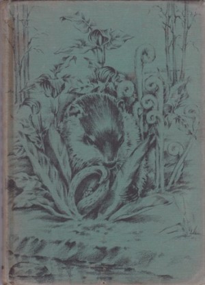 Chuckle: The Story of a Woodchuck by: Stearns, David M.