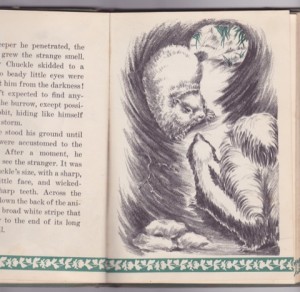 Chuckle: The Story of a Woodchuck by: Stearns, David M.
