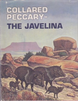 Collared Peccary - The Javelinaby: Hiser, Iona Sibert, illustrated by Frank O'Leary