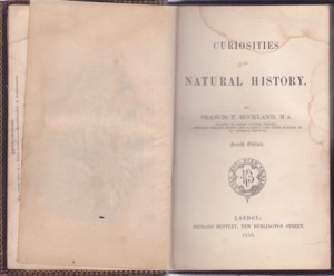 Curiosities of Natural History by: Francis T. Buckland