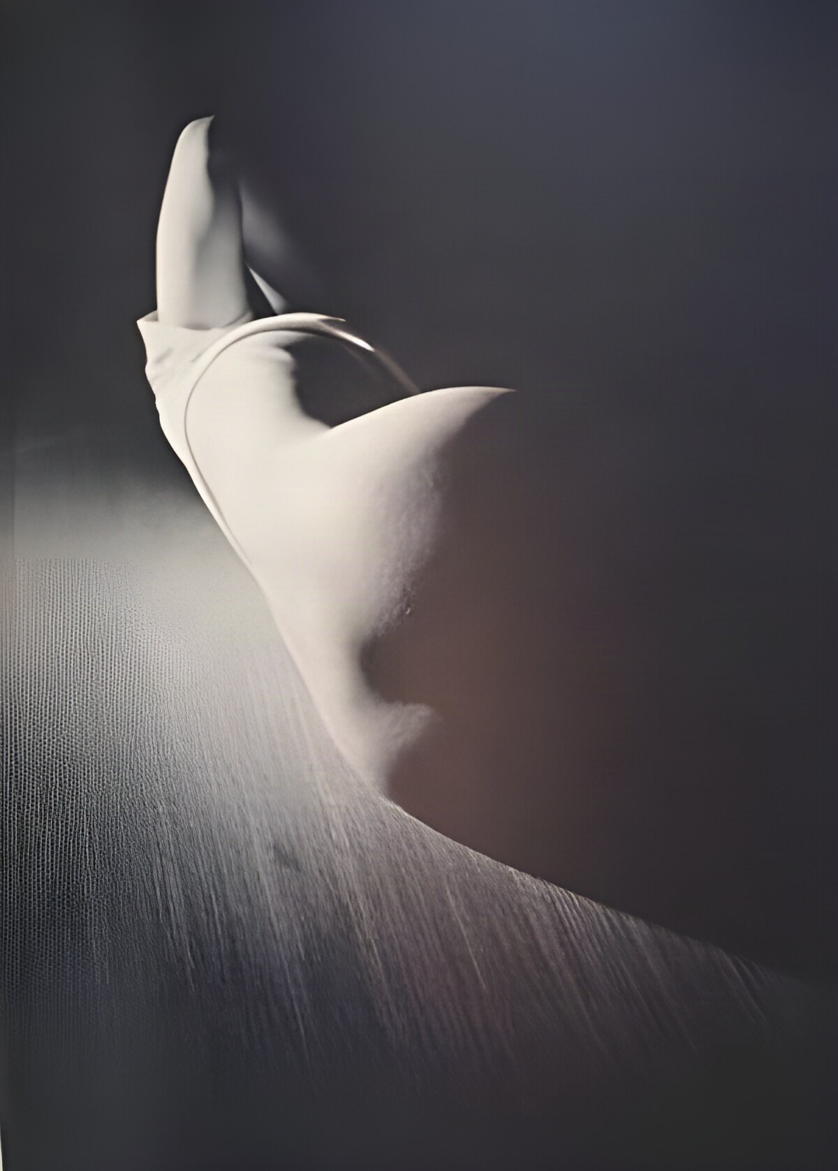 David Salle: Photographs 1980 to 1990by: Salle, David and John Cheim