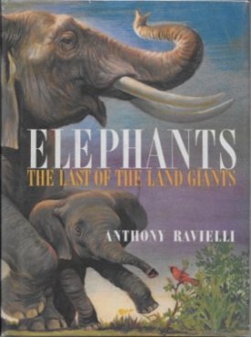 Elephants - The Last of the Land Giantsby: Ravielli, Anthony