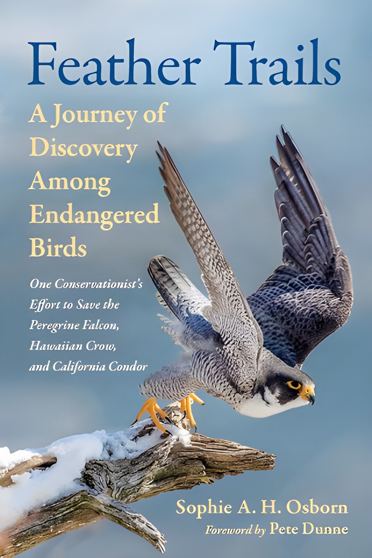Feather Trails: A Journey of Discovery Among Endangered Birds by: Osborn, Sophie A. H. 