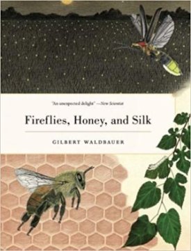 Fireflies, Honey, and Silkby: Waldbauer, Gilbert