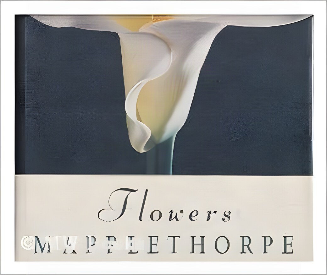 Flowersby: Mapplethorpe, Robert and Patti Smith