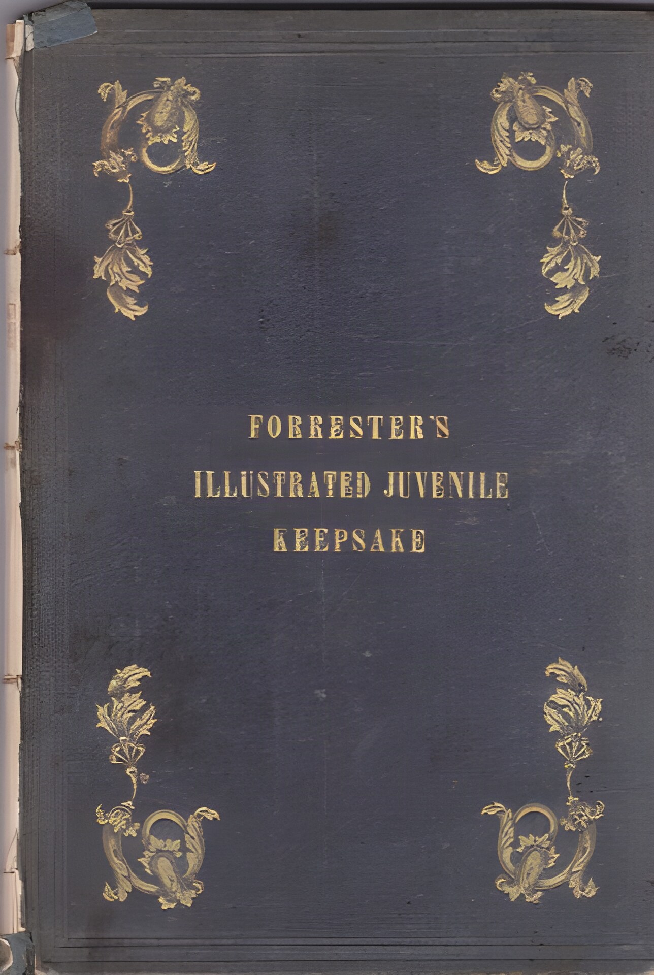 Forrester's Illustrated Juvenile Keepsakeby: Mark Forrester (Ed.)