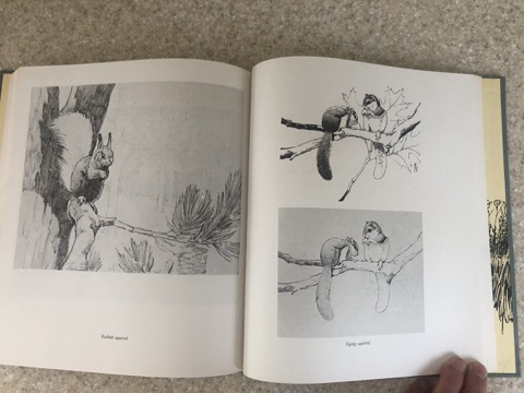 Francis Lee Jaques - Artist of the Wilderness Worldby: Jaques, Florence Page