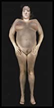 Gary Schneider: Nudesby: Schneider, Gary