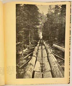 German Forests: Treasures of a Nationby: Ebner, Dr. Adalbert