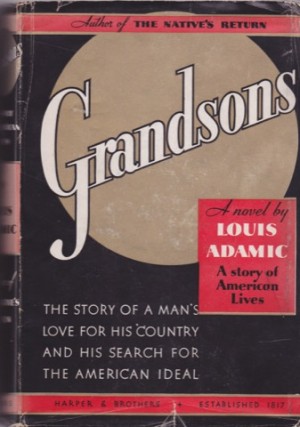 Grandsons : A Story of American Livesby: Adamic, Louis