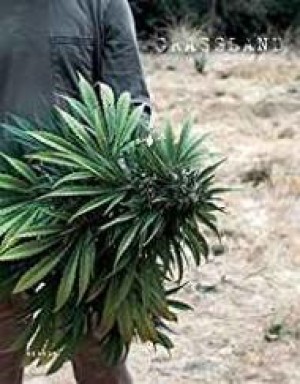 Grasslandby: Lee, H.