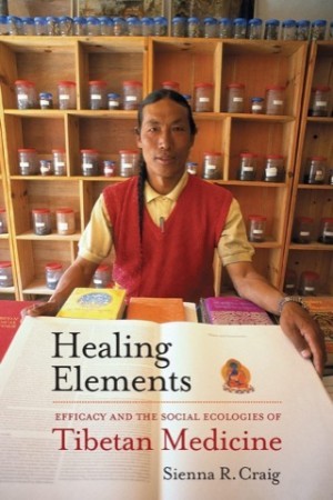 Healing Elements: Efficacy and the Social Ecologies of Tibetan Medicineby: Craig, Sienna R.