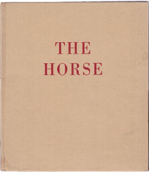 Horse, Theby: Brown, Paul