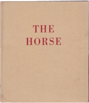 Horse, Theby: Brown, Paul