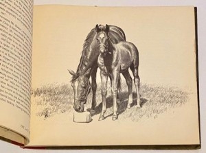 Horses Are Folksby: Anderson, C.W.