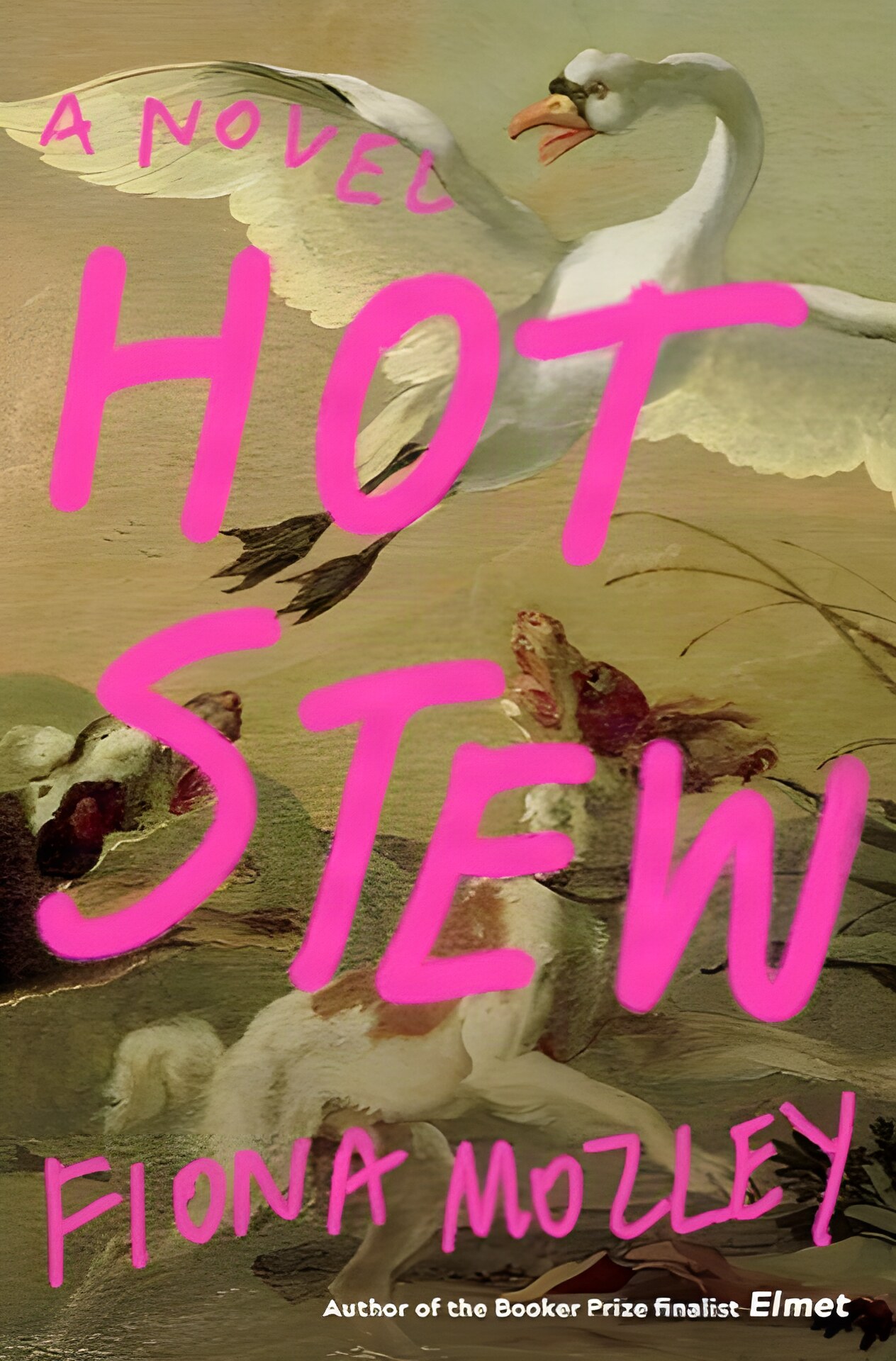 Hot Stewby: Fiona Mozley