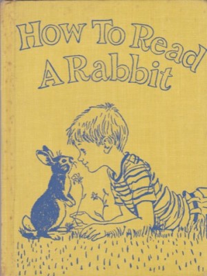 How to Read a Rabbitby: Fritz, Jean
