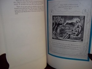 Illustrations of the Book of Job, Invented &amp; Engraved by William Blake/The Doctrine of Job, by S. Foster Damonby: Damon, S. Foster/ Blake, William
