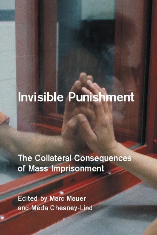 Invisible Punishment: The Collateral Consequences of Mass Imprisonmentby: Meda Chesney-Lind/Marc Mauer (Editors) 