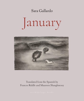 Januaryby: Sara Gallardo (Author), Frances Riddle (Translator)